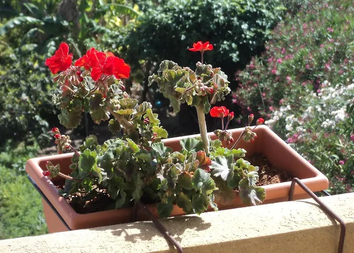 B&B Sbarco Dei 1000 3*