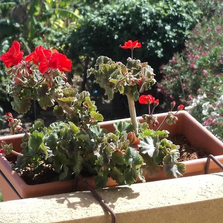 Bed & Breakfast Sbarco Dei 1000 3*